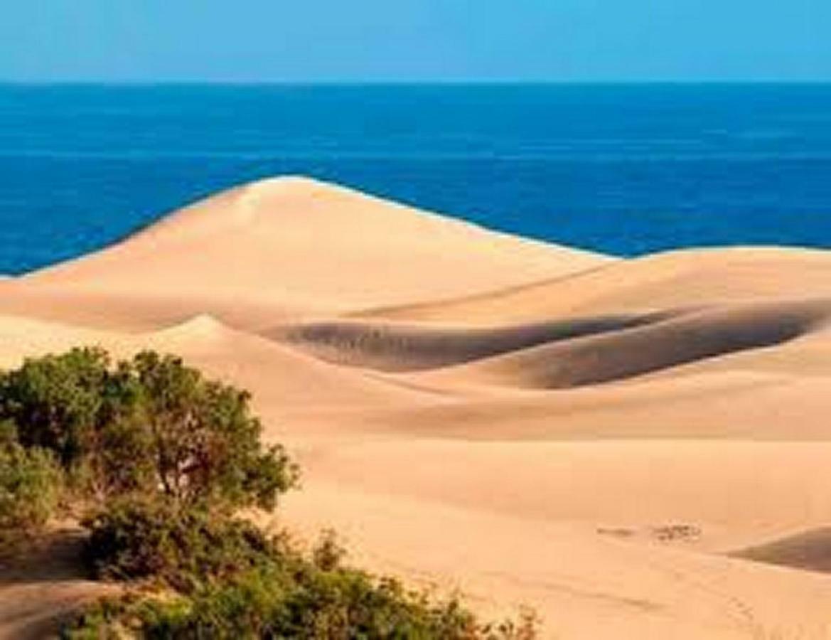 Duna Flor Maspalomas (Gran Canaria)